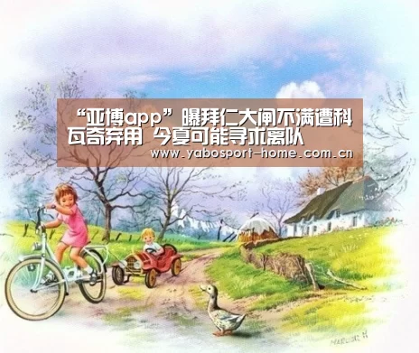 亚博app